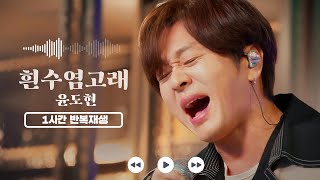 𝟏𝐡𝐫 𝐥𝐨𝐨𝐩🔂 흰수염고래 - 윤도현 | 1시간 반복 재생