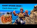 GIANT SPIDER CRAB - Catch Clean Cook , Steamed Spidercrab in Garlic & Spices