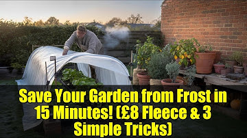 Save Your Garden from Frost in 15 Minutes! (£8 Fleece & 3 Simple Tricks)