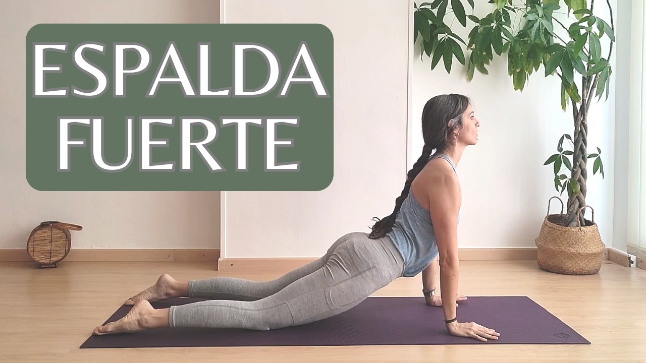 ESPALDA ALTA y HOMBROS | Fuerza y Movilidad para Mejorar tu Postura