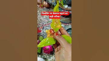 #शिवलिंग पर#बेलपत्र चढ़ाने कासहीतरीका#shivling#mahadev#belpatra#upay#shorts#pandit_pradeep_ji_mishra