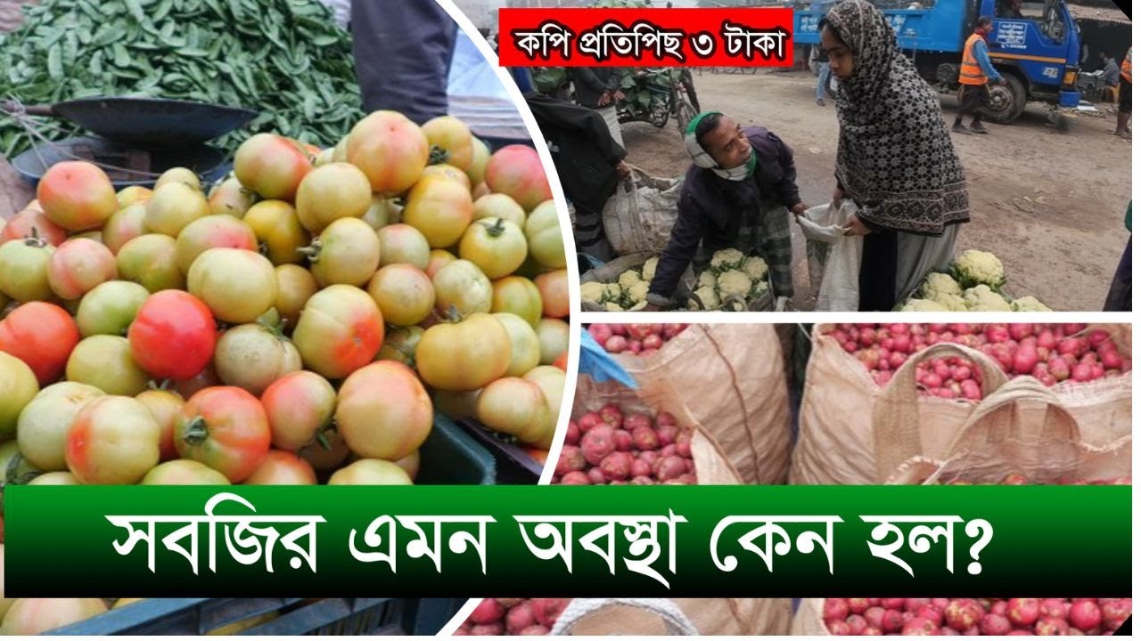 সবজি চাষ করে বিপাকে চাষীরা। নওগাঁ। কৃষক উৎপাদন খরচ পাচ্ছে না।Naogaon news