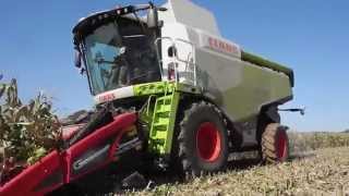 HD | Moisson mais 2015 Lexion 740