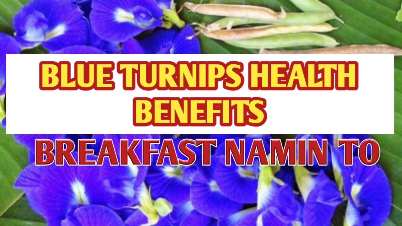 BLUE TURNIPS HEALTH BENIFITS BREAKFAST NAMIN TO YouTube