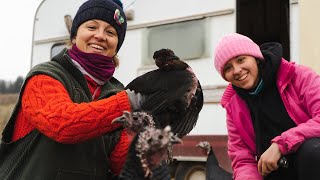 Чистене на КОКОШАРНИЦИТЕ каравани | Два дни при кокошките и пуйките сред природата | Ферма Монсър