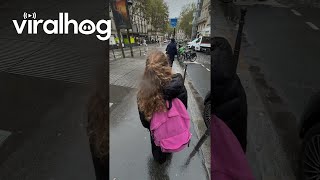 Download Lagu Umbrella Escapes Ownership || ViralHog MP3 Download Lagu Umbrella Escapes Ownership || ViralHog MP3
