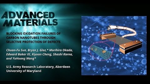 Blocking Oxidation Failures of Carbon Nanotubes through Selective Protection of Defects