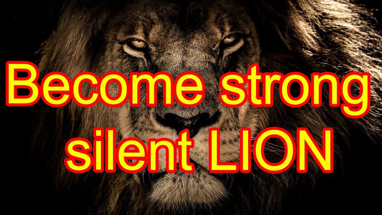 Be a successful silent lion - YouTube