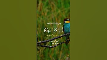 #قران_كريم #تلاوات #قرآن #اكسبلور #راحة_نفسية #لايك
