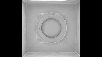 Closed-loop interactions between zebrafish and a group of robotic fish