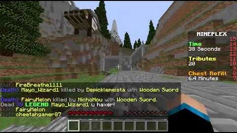 Hacker on mineplex SG