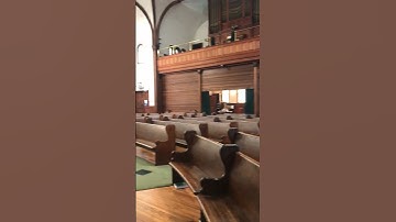 Thumbnail of Charleston: Through a Musician's Eyes #shorts