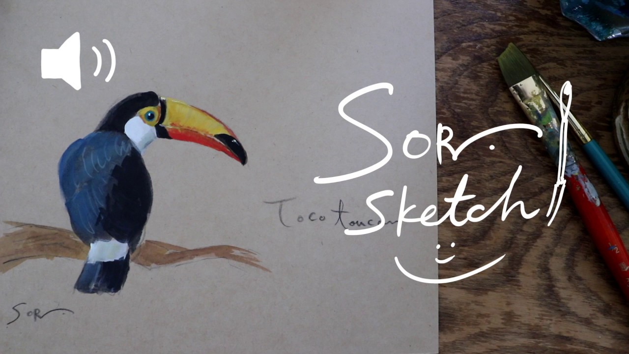 どうぶつスケッチ 長丸2つと三角1つで描く オニオオハシ 絵本作家そら 札幌市円山動物園 Youtube