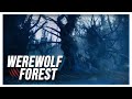 Werewolf & Wind Ambience - (Forest Sounds, Werewolf Sounds, Sleeping, Reading, Relaxation)