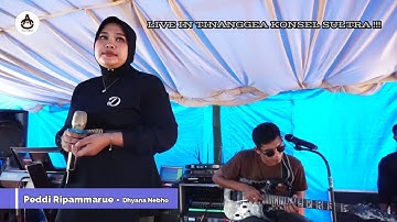 Dhyana Nebho - PEDDI RIPAMMARUE - LIVE IN TINANGGEA KONSEL SULTRA - All Artist AO 2022