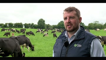 Maximising rumen function in dairy cows throughout the grazing season