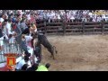 TV Carcastillo tarde 7 8 2014 ENCIERRO Y VACAS