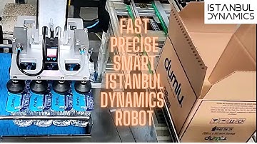 Fast, precise and smart istanbul dynamics linear robot pick and place