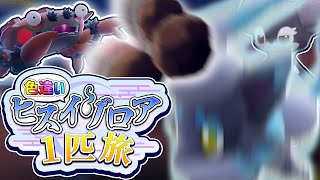 【5分まとめ】耐久ペラペラすぎて度々ピンチになる色違いヒスイゾロア1匹旅【ポケモンSV】