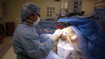 Renaissance® Brain Module: How it Works