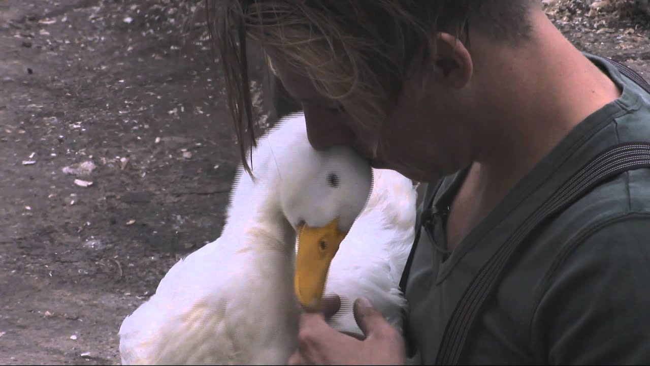 UTOPIA (NL) 2015 - Best of Week 88 - Bas' grootste liefde