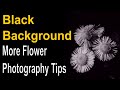 More Flower Photography Tips to get a Black Background with Off Camera Flash ep.160