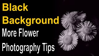 More Flower Photography Tips to get a Black Background with Off Camera Flash ep.160