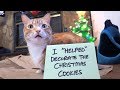 Cat Shaming! - Christmas Edition 🎄