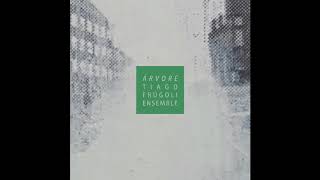 Video thumbnail of "Tiago Frúgoli Ensemble - Árvore (single)"