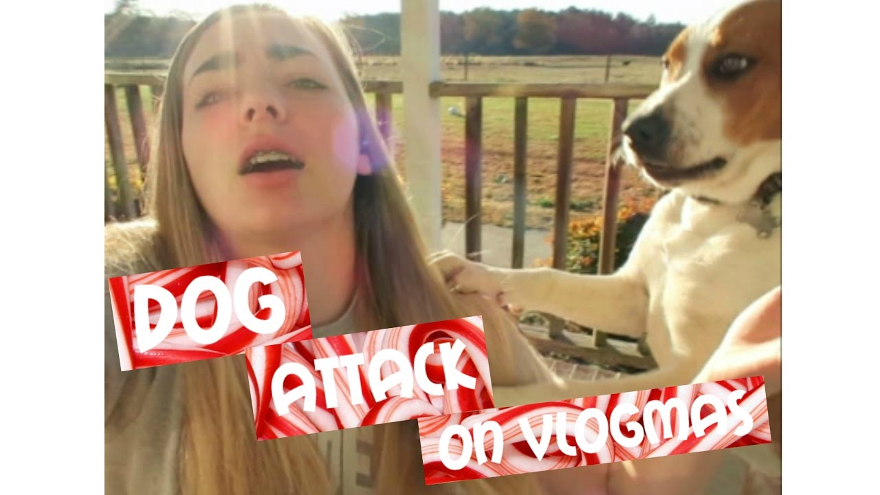 camera iphone 8 plus apk Attacked by Dog on Vlogmas Day 1!