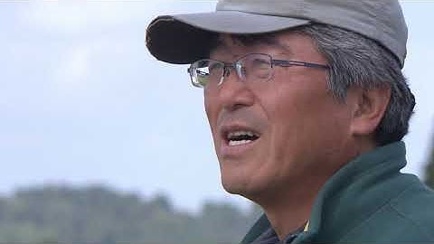 映画「私は白鳥」予告編　2021年11月27日全国順次公開