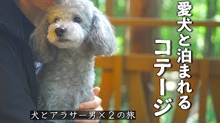 🐶愛犬と泊まれる大自然のコテージで一泊二日の男旅【犬とアラサー男達の旅】【トイプードル】【Vlog】
