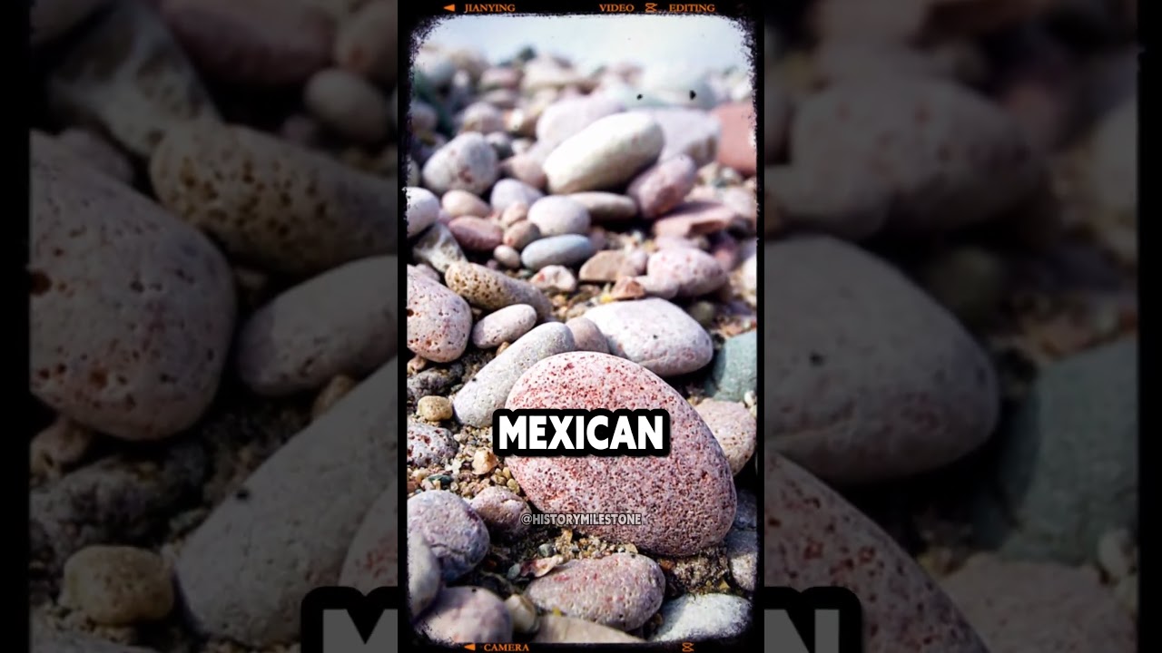 The Man who Became a Millionaire Selling Common Rocks. 