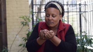 When is Compost Ready to Use?