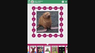 100 Pics Quiz - Baby Animals 1-100 Answers screenshot 2