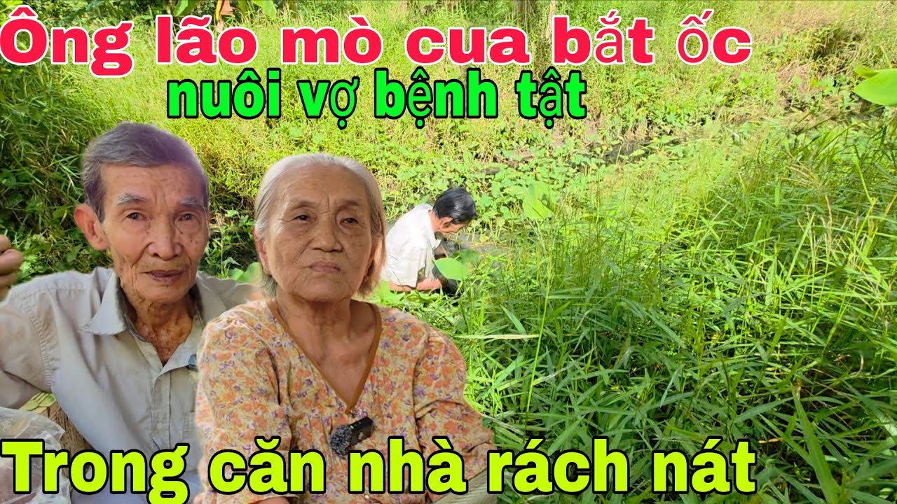 Nhà nghèo khổ con ra đi mãi mãi Ông lão lặn lội bắt ốc nuôi vợ bệnh tât