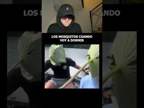 Los MOSQUITOS cuando DUERMO