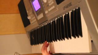 Martin Garrix - Animals (on piano)