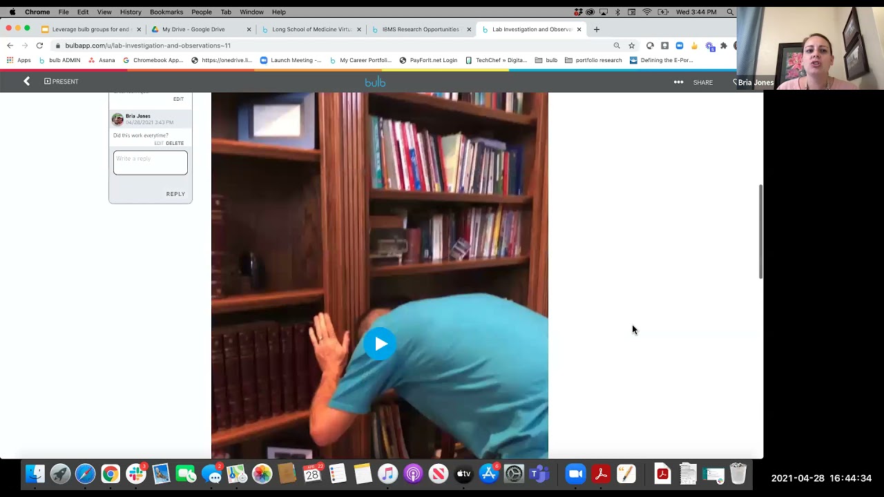 bulb groups for projects & capstones