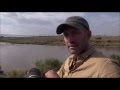 Safari Live Marathon Special in the Mara Triangle with James Hendry Sept 20, 2016