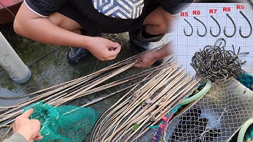 CẤM CÂU CÁ LÓC BẰNG MỒI NHÁI( VÀ CÁI KẾT HY HỮU)#SĂNBẮTCÁIBÈ