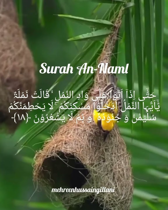 Surah An-Naml Beautiful Quran Translation
