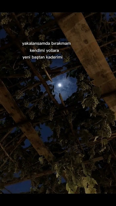 yakalansamda birakmam kendimi yollara ( bize kalsa ) - soner avcu