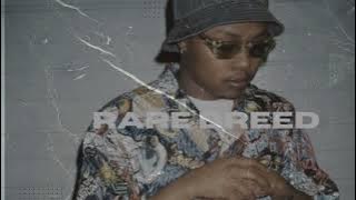 [FREE]A-Reece type beat -Rare breed(Prod.Avid Illest)