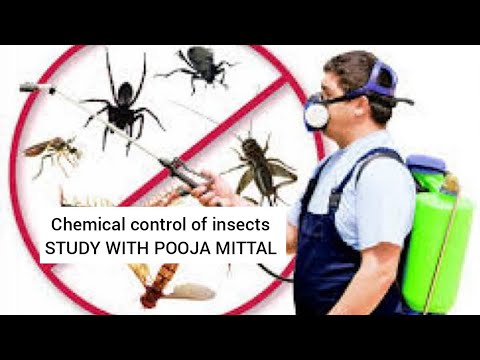 Part:-1 Chemical control of insects ( flow chart )