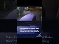 APAKAH INI ASLI SUARA POCONG ATAU CUMA SUARA ANJING ATAU PUN SOSOK LAIN