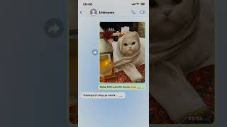 Download Lagu :q #pov #chat #kucingyoutube #fyp #shorts #rameindong #likeandsubscribe #gasukaskip MP3 Download Lagu :q #pov #chat #kucingyoutube #fyp #shorts #rameindong #likeandsubscribe #gasukaskip MP3