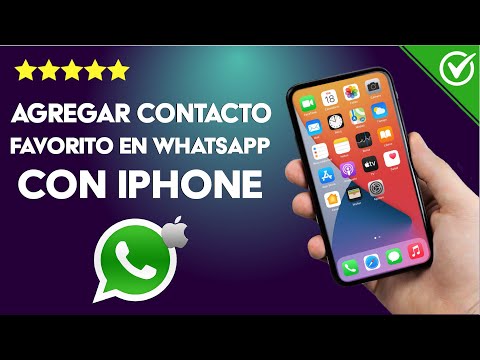 Cómo poner contacto en favoritos de WHATSAPP en iPhone para encontrarlo rápido