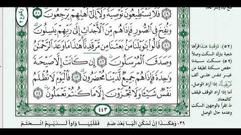 سورة يس برواية شعبه عن عاصم الكوفي للقارئ الصاعد إيهاب الخليدي Suratu Yaseen Sho'ah n by Qari Ehab K