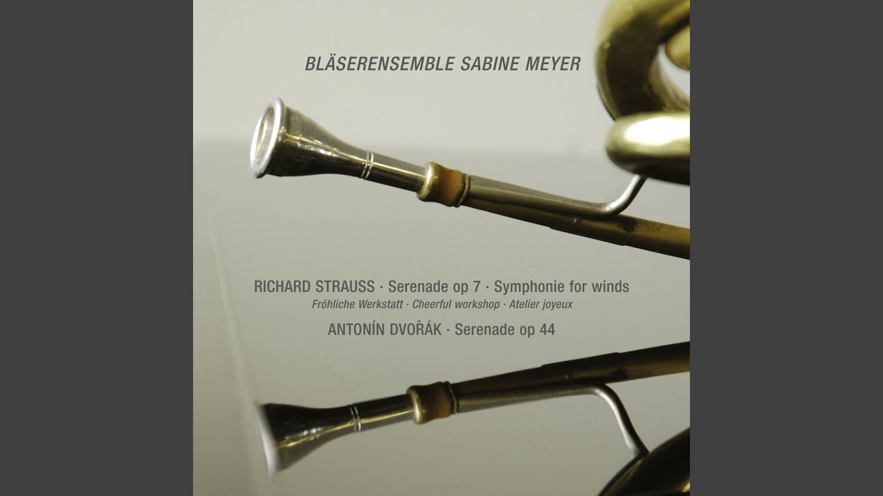Tonton Dvořák: Serenade in D Minor, B. 77: II. Minuetto di YouTube Tonton Dvořák: Serenade in D Minor, B. 77: II. Minuetto di YouTube